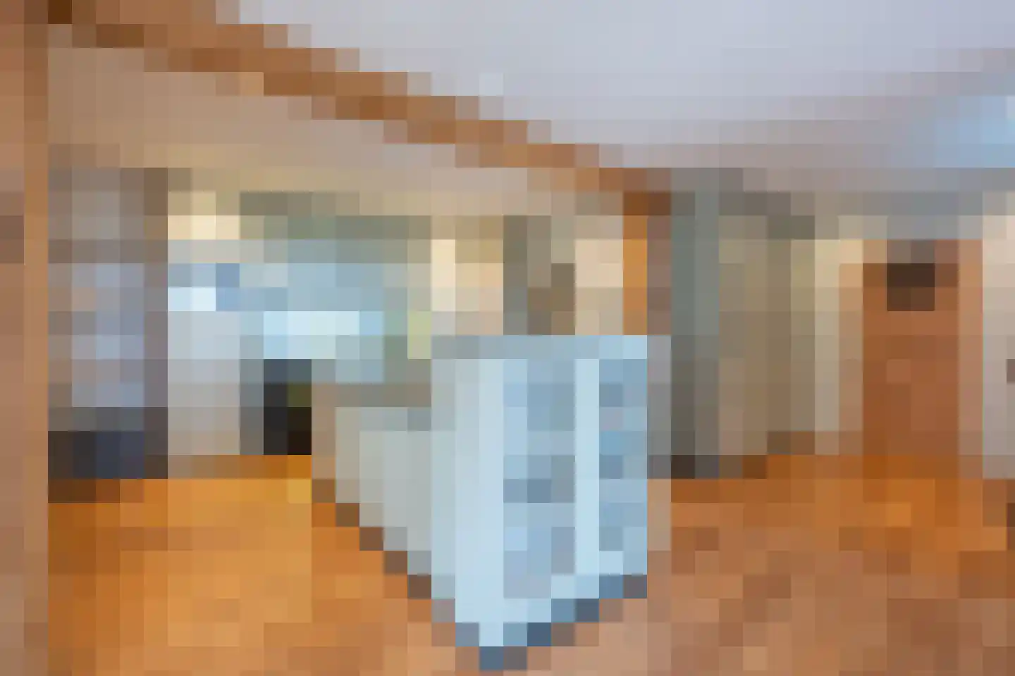 Berkenweg 24 Drijber thumbnail 14
