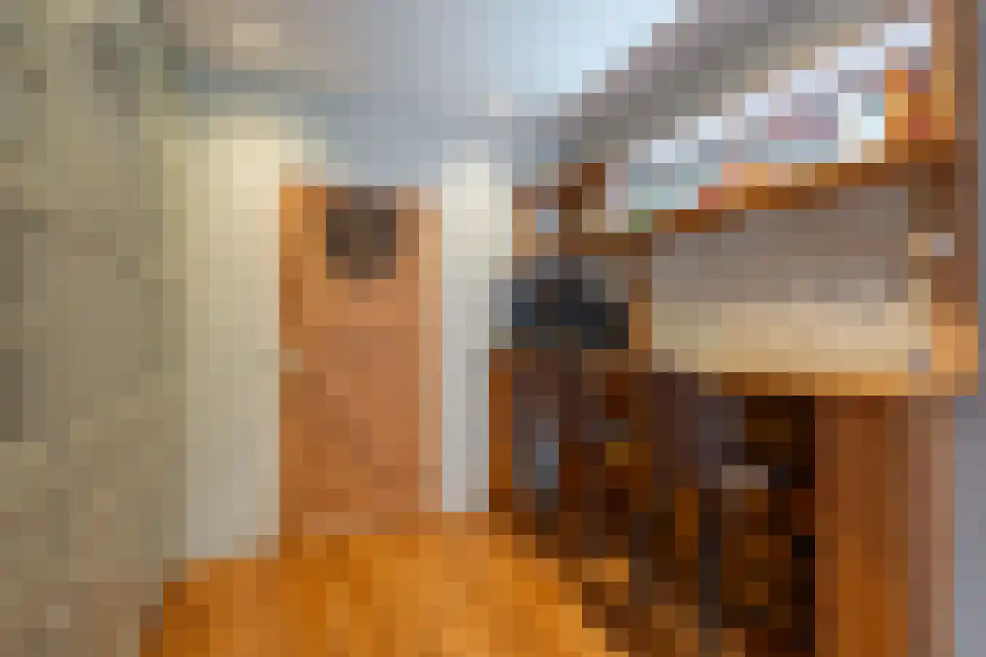 Berkenweg 24 Drijber thumbnail 17
