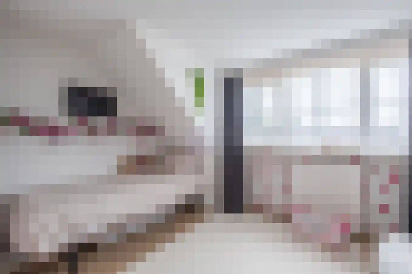 Berkenweg 24 Drijber thumbnail 19