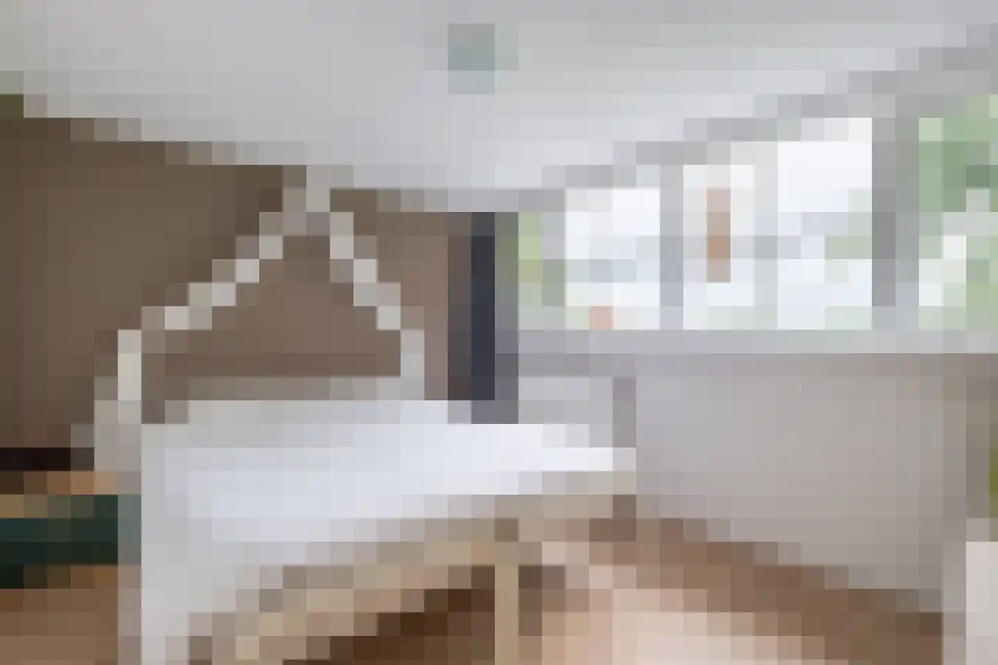 Berkenweg 24 Drijber thumbnail 20