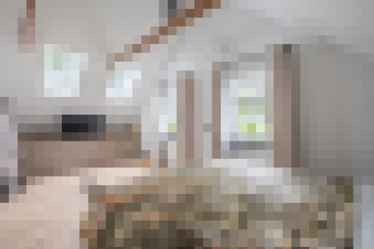 Berkenweg 24 Drijber thumbnail 22