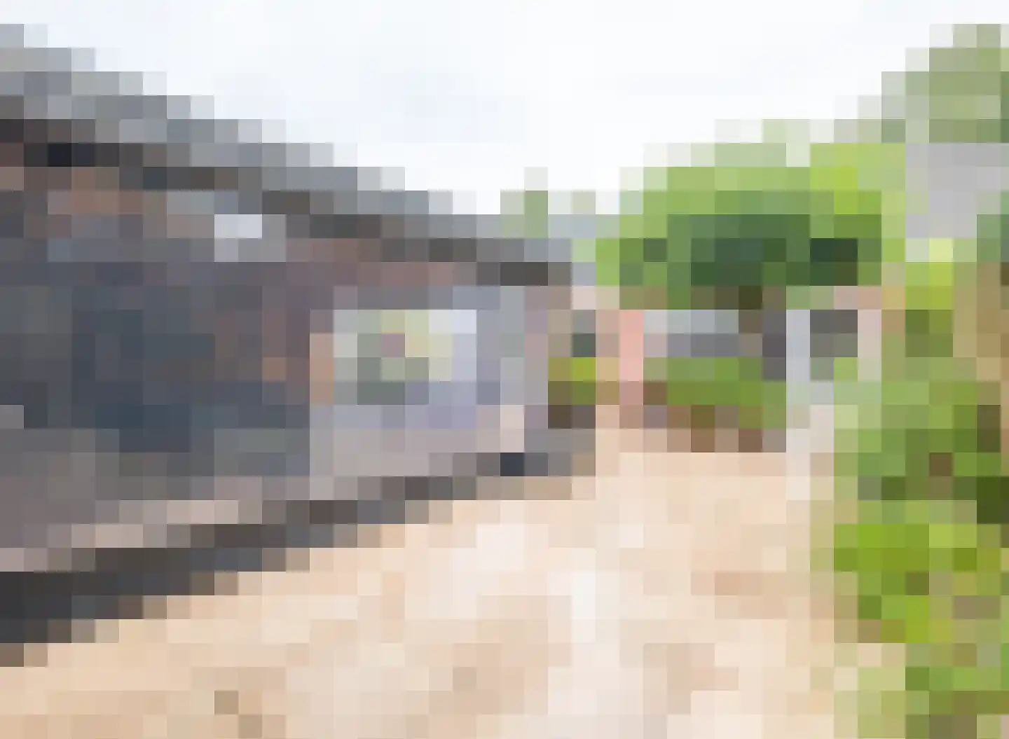 Berkenweg 24 Drijber thumbnail 30