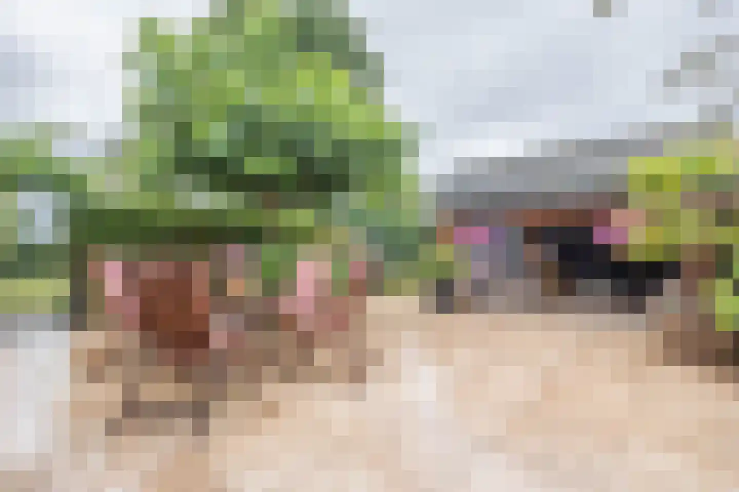 Berkenweg 24 Drijber thumbnail 32