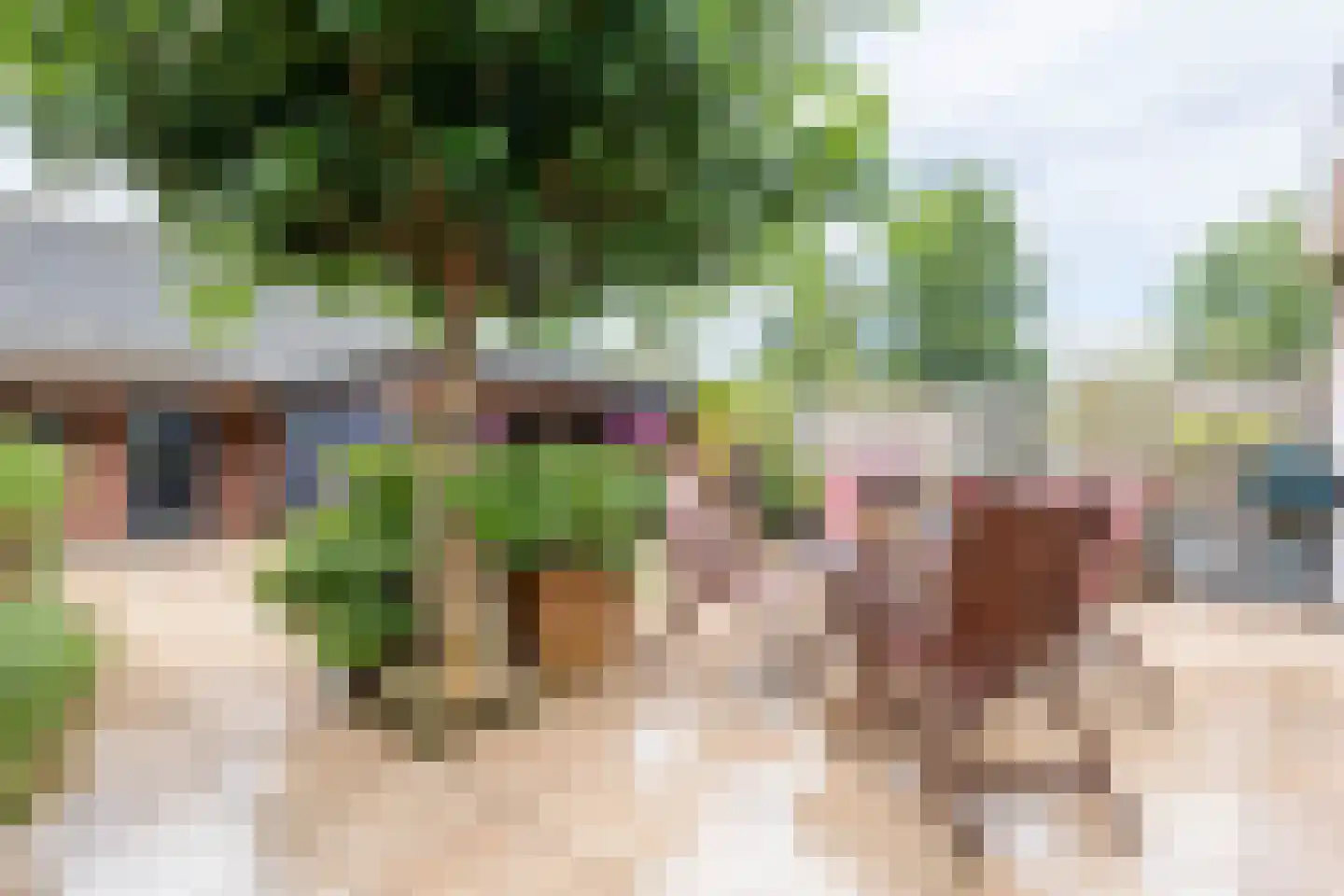 Berkenweg 24 Drijber thumbnail 33