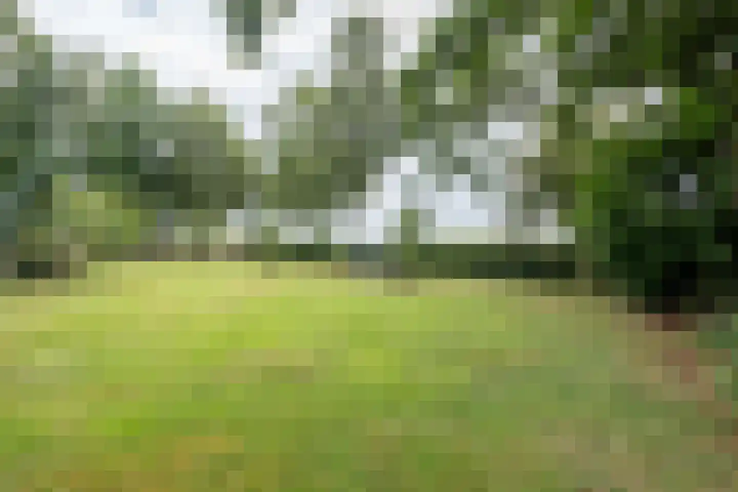 Berkenweg 24 Drijber thumbnail 37