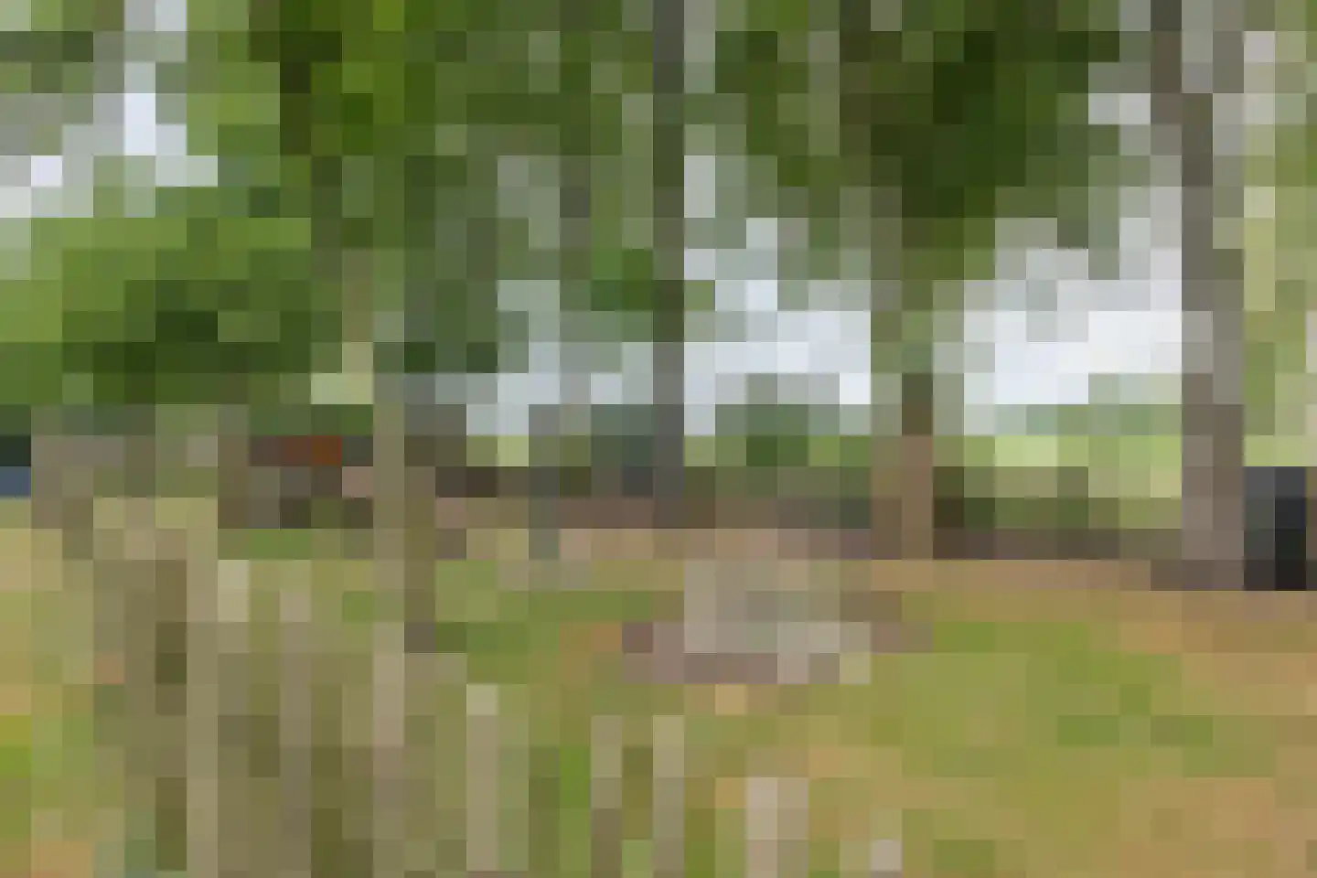 Berkenweg 24 Drijber thumbnail 38