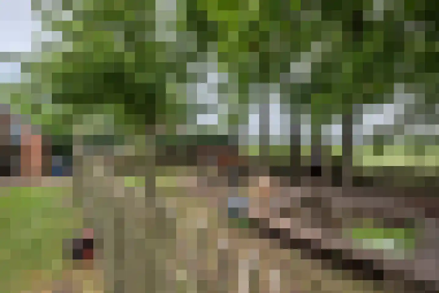 Berkenweg 24 Drijber thumbnail 39