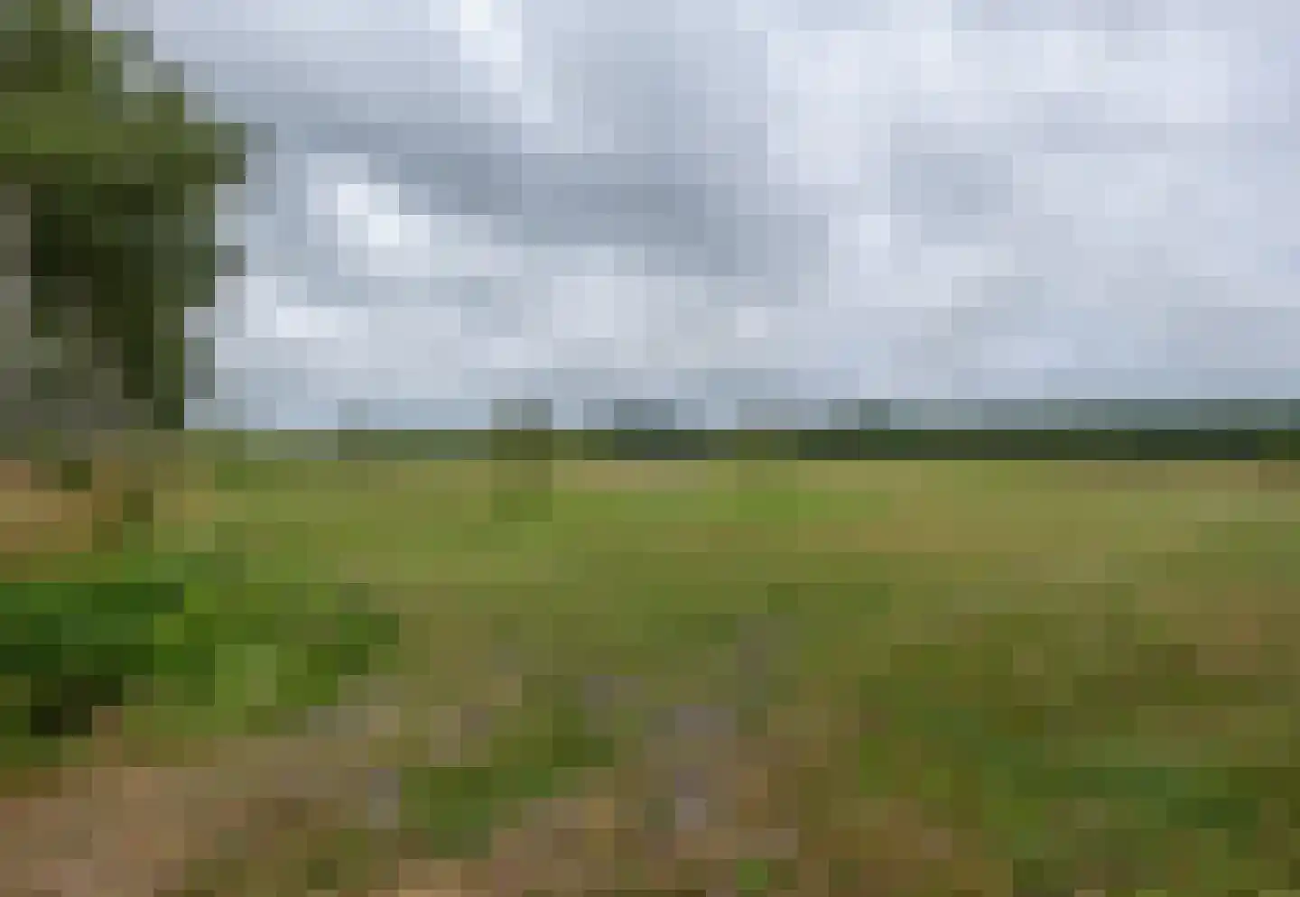 Berkenweg 24 Drijber thumbnail 40