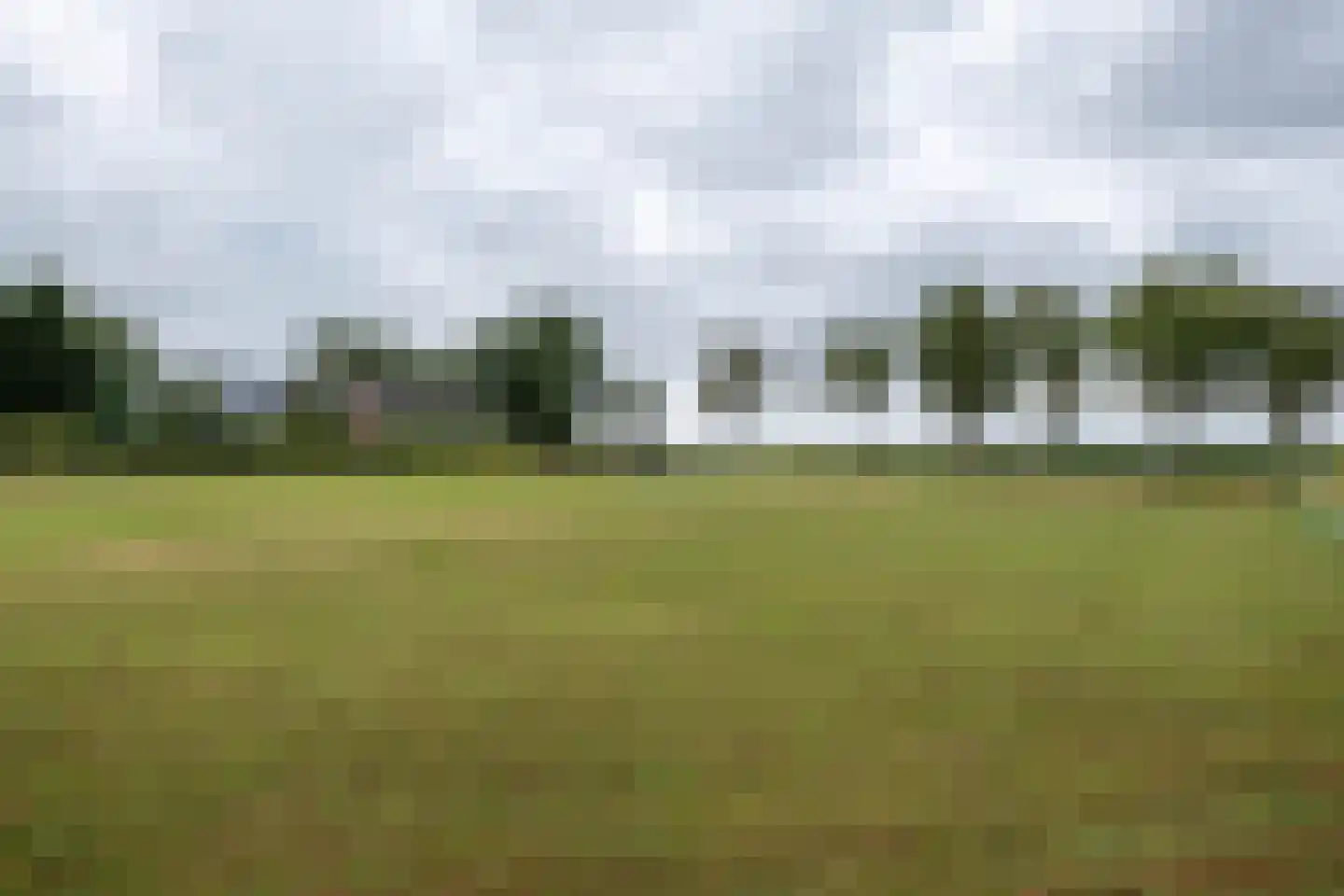 Berkenweg 24 Drijber thumbnail 41