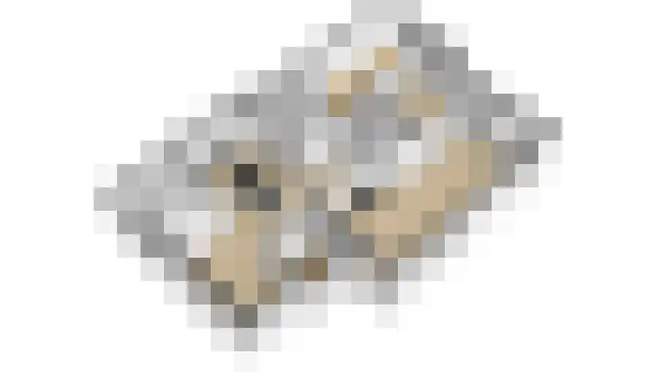 Berkenweg 24 Drijber thumbnail 43