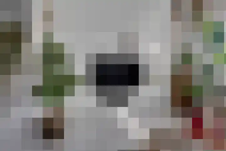 Berkenweg 27 Boskoop thumbnail 10