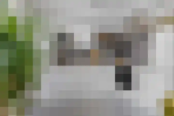 Berkenweg 27 Boskoop thumbnail 13