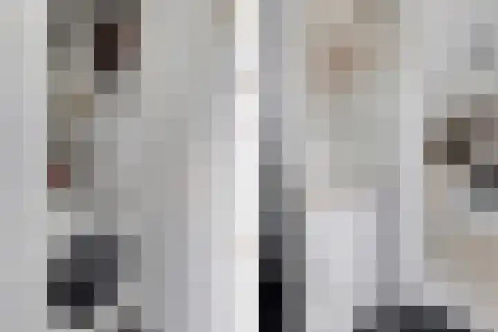 Berkenweg 27 Boskoop thumbnail 15