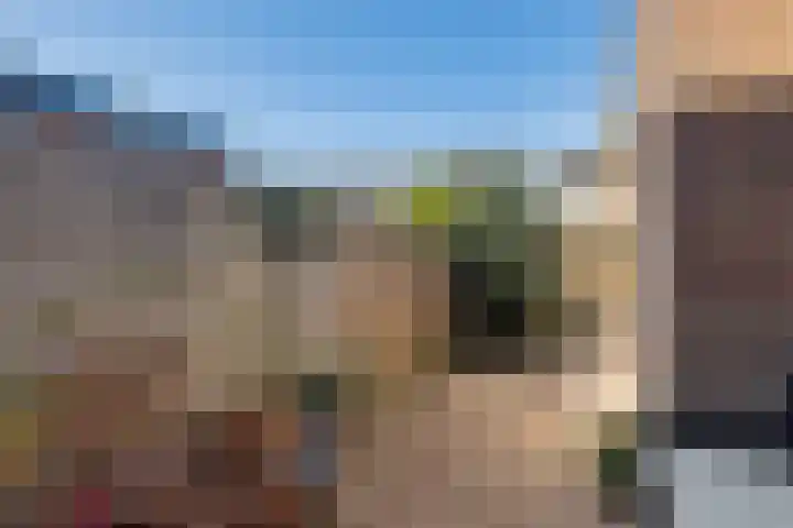 Berkenweg 27 Boskoop thumbnail 31