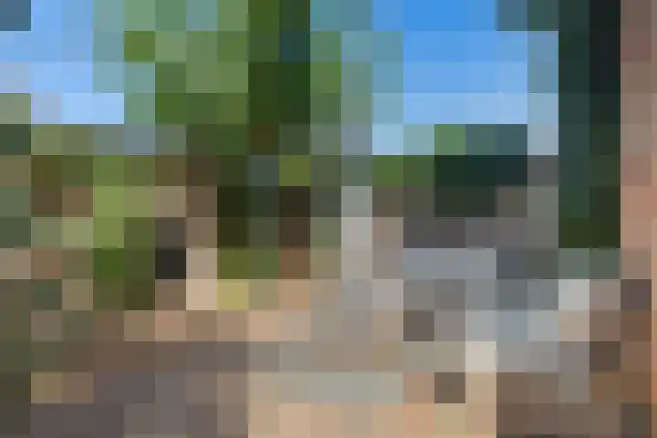 Berkenweg 27 Boskoop thumbnail 34