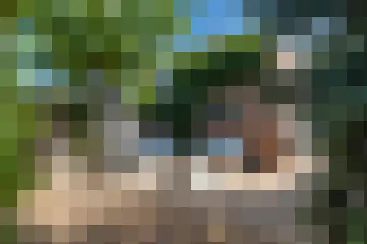 Berkenweg 27 Boskoop thumbnail 35