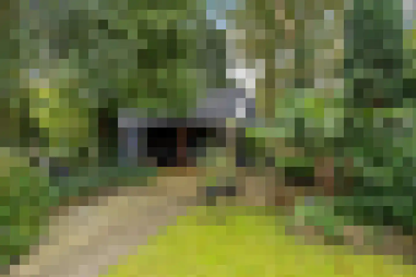 Berkenweg 32 Haulerwijk thumbnail 33
