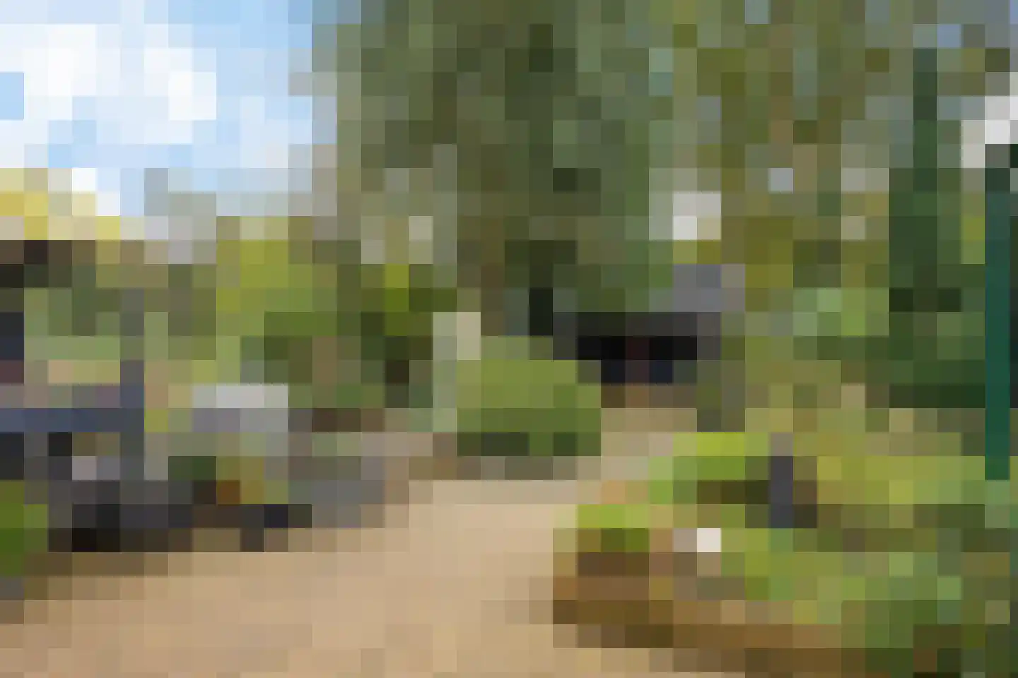 Berkenweg 32 Haulerwijk thumbnail 35