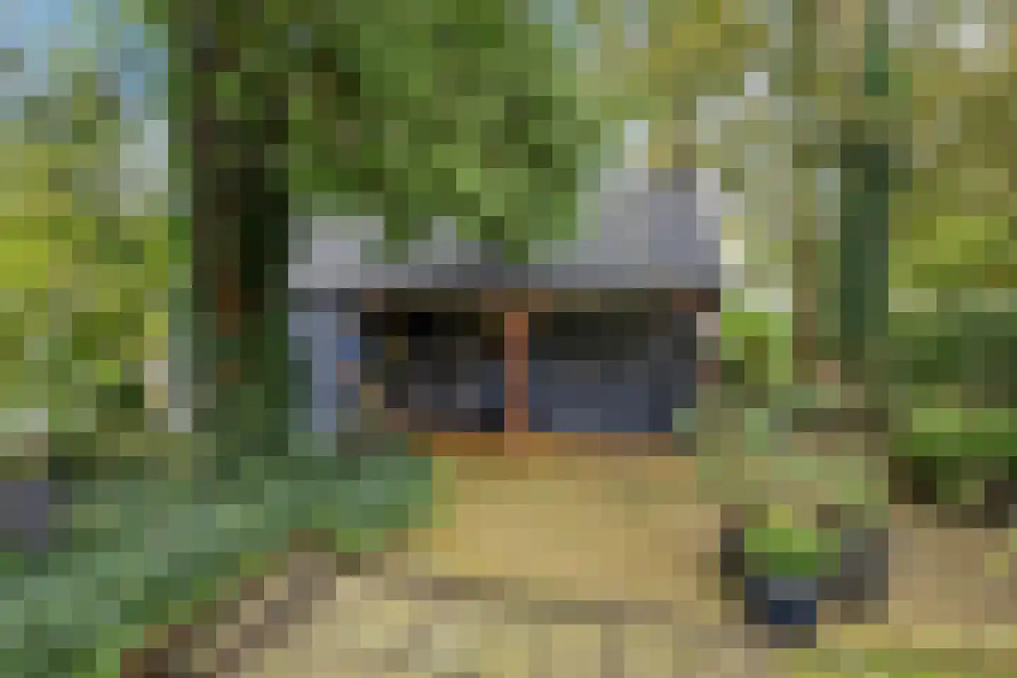 Berkenweg 32 Haulerwijk thumbnail 37