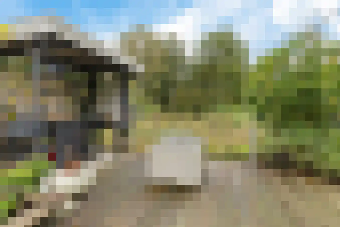 Berkenweg 32 Haulerwijk thumbnail 39