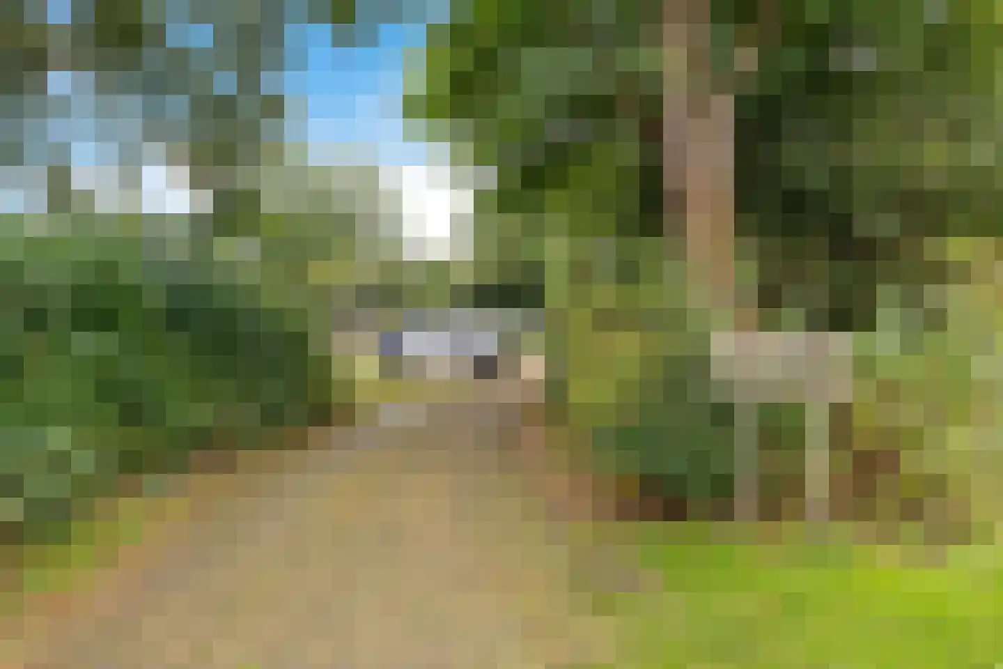 Berkenweg 32 Haulerwijk thumbnail 45