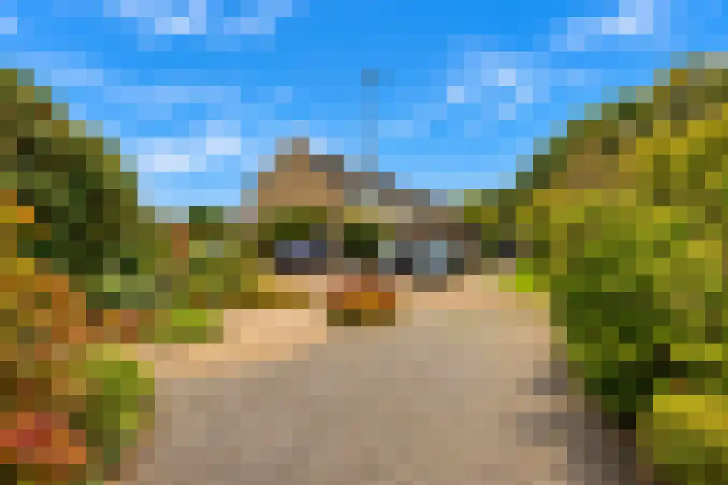 Berkenweg 32 Haulerwijk thumbnail 5