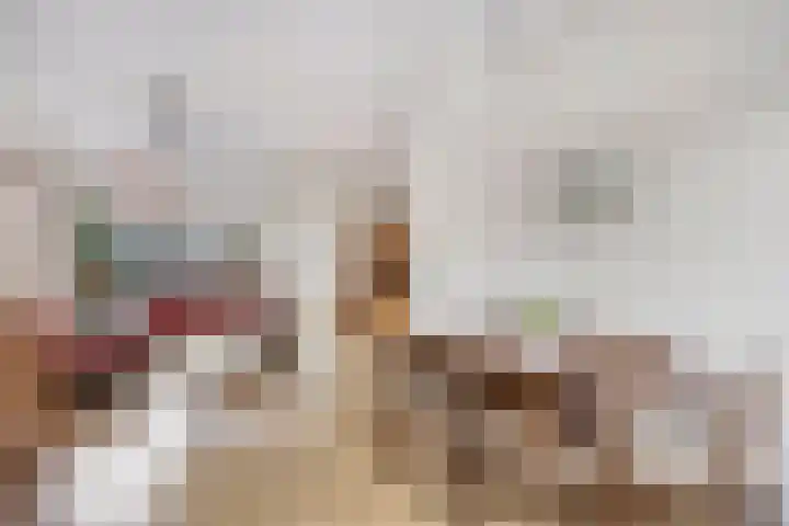 Berkenweg 5 Zaandijk thumbnail 10