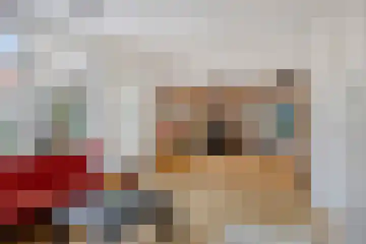 Berkenweg 5 Zaandijk thumbnail 13