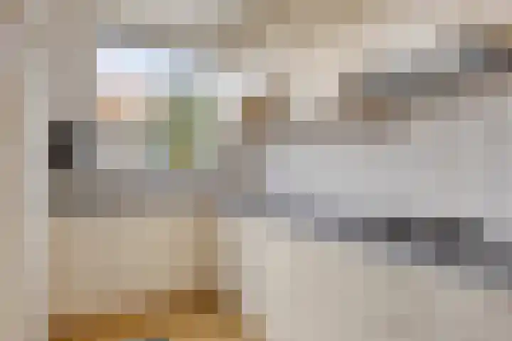 Berkenweg 5 Zaandijk thumbnail 16