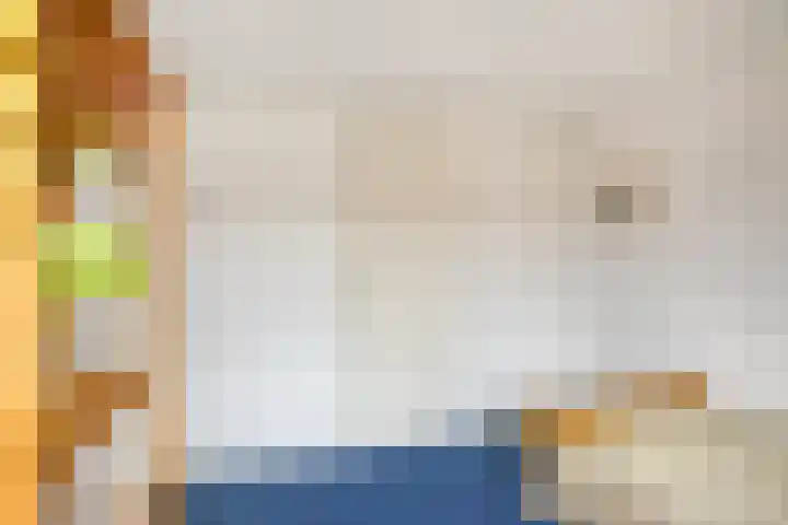 Berkenweg 5 Zaandijk thumbnail 30
