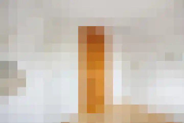 Berkenweg 5 Zaandijk thumbnail 33