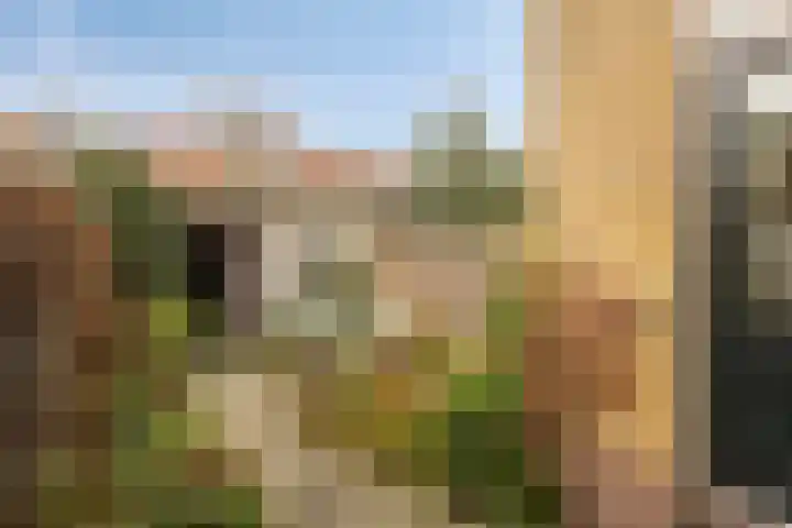 Berkenweg 5 Zaandijk thumbnail 39