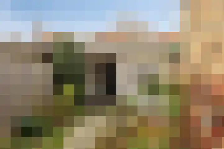 Berkenweg 5 Zaandijk thumbnail 40