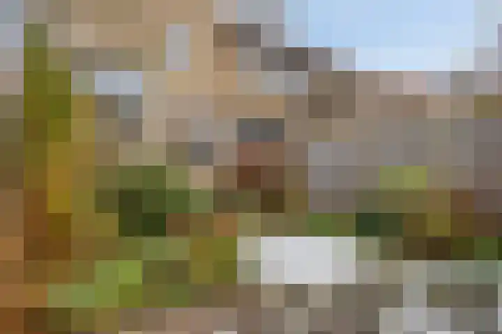 Berkenweg 5 Zaandijk thumbnail 41