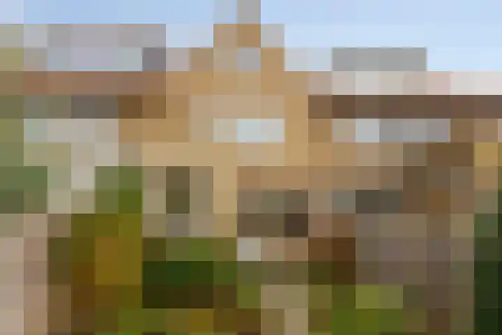 Berkenweg 5 Zaandijk thumbnail 44