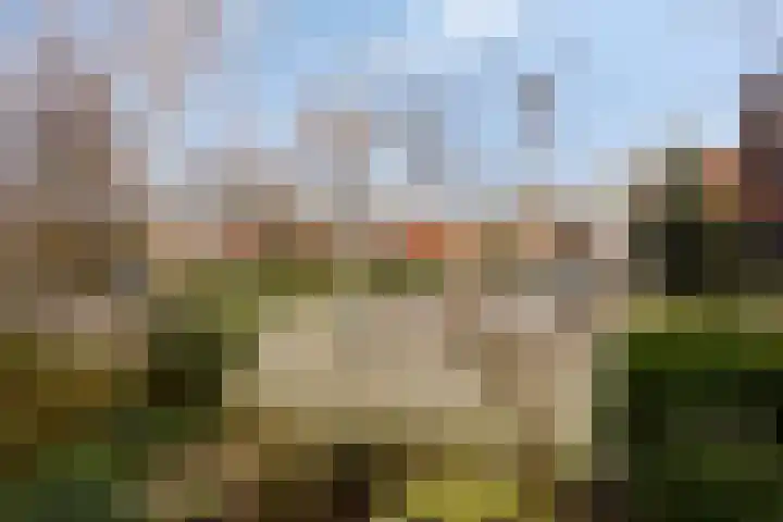 Berkenweg 5 Zaandijk thumbnail 47