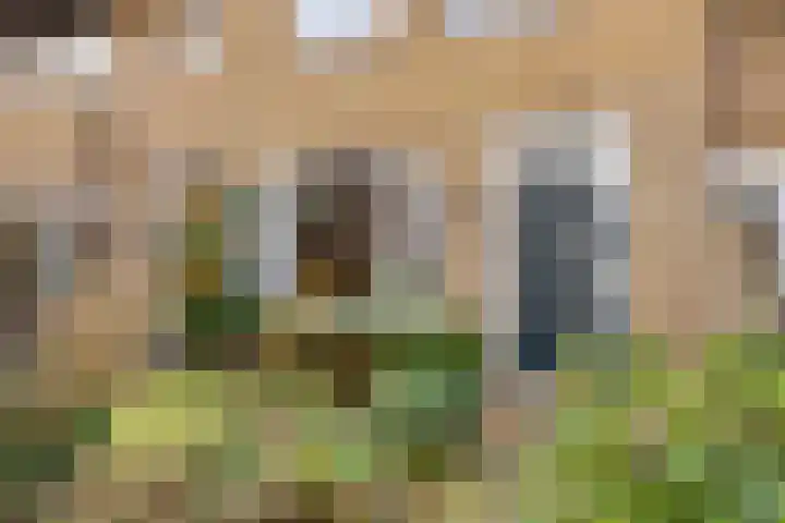 Berkenweg 5 Zaandijk thumbnail 5