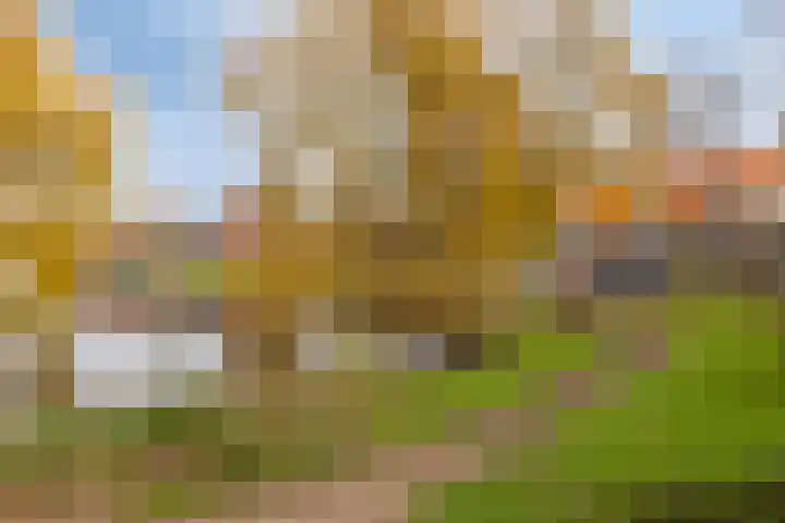 Berkenweg 5 Zaandijk thumbnail 51