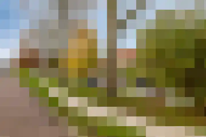 Berkenweg 5 Zaandijk thumbnail 52