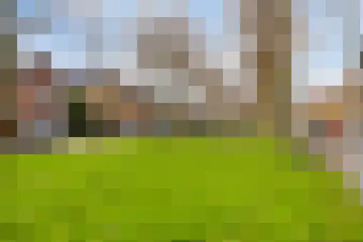 Berkenweg 5 Zaandijk thumbnail 53