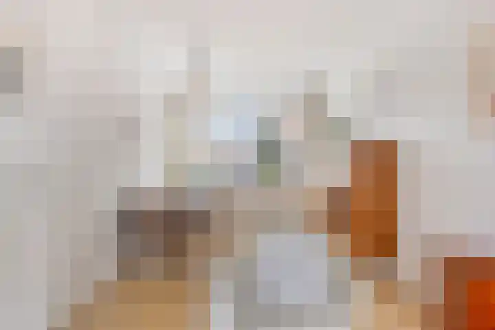 Berkenweg 5 Zaandijk thumbnail 9