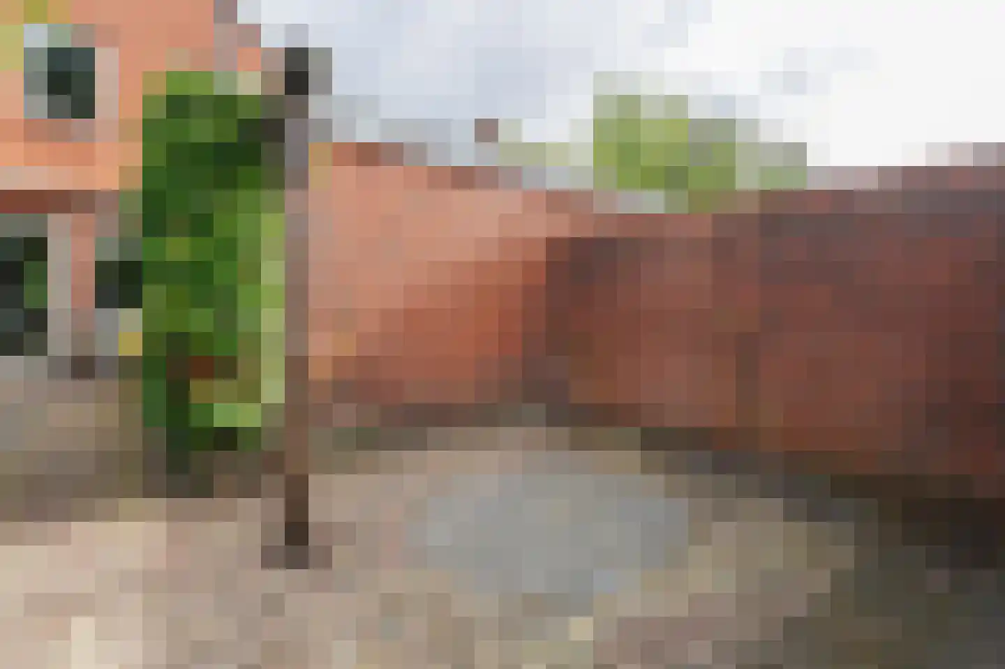 Berkenweg 73 Zuidlaren thumbnail 37