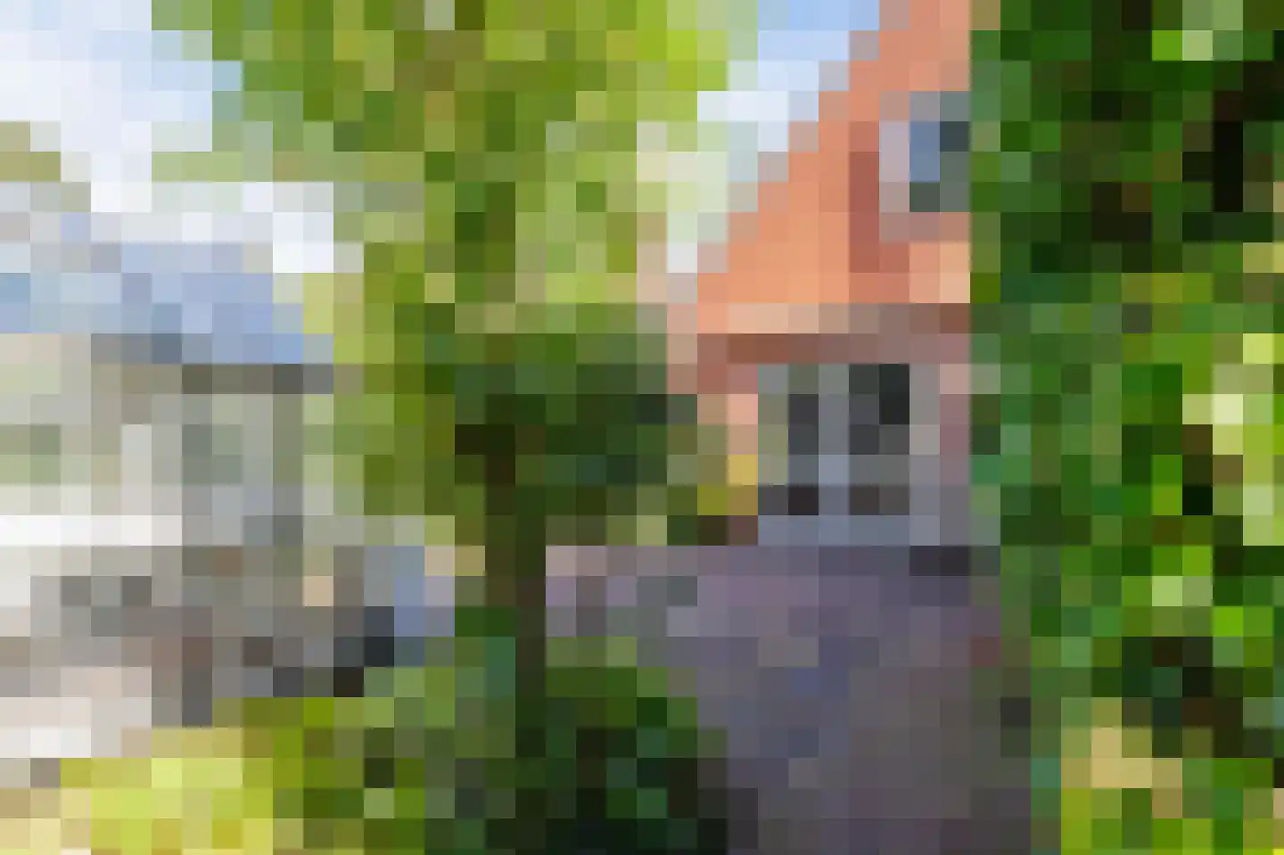 Berkenweg 73 Zuidlaren thumbnail 38