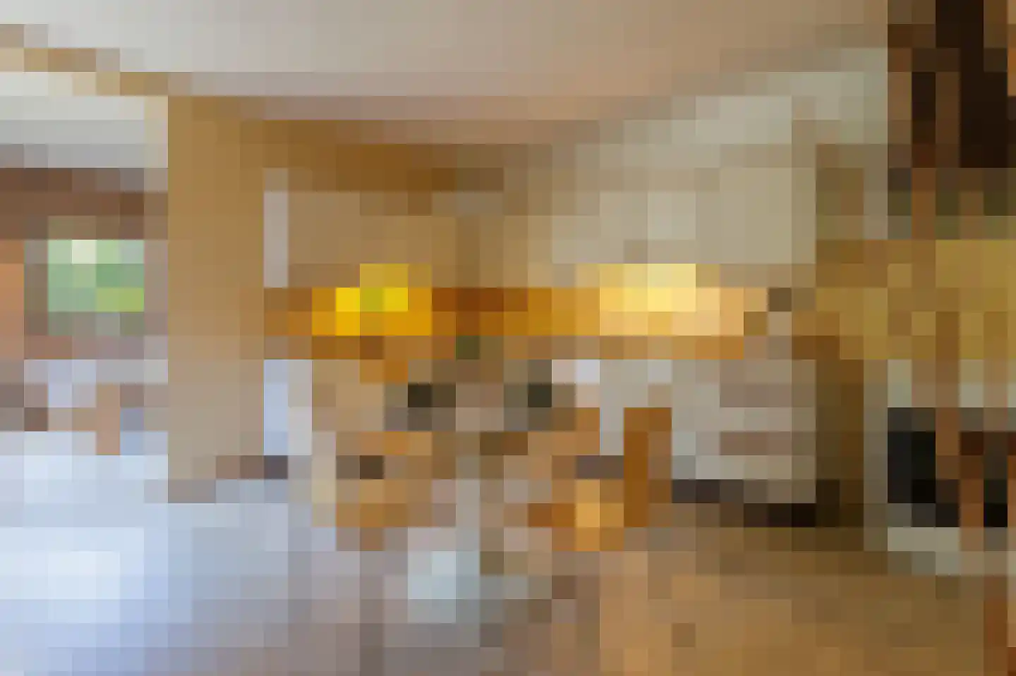 Berkenweg 73 Zuidlaren thumbnail 4