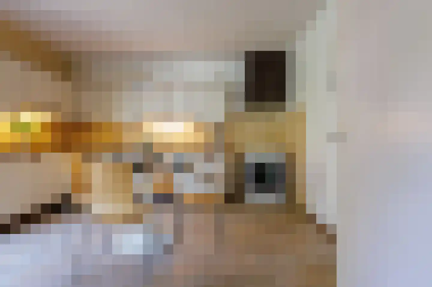 Berkenweg 73 Zuidlaren thumbnail 41