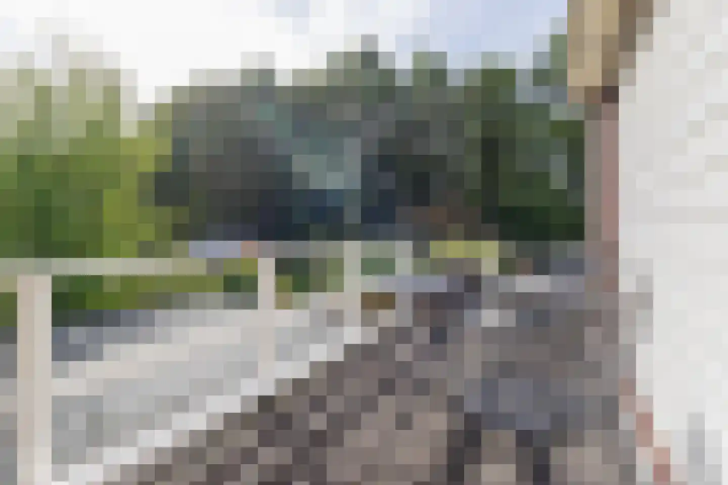 Berkenweg 73 Zuidlaren thumbnail 58