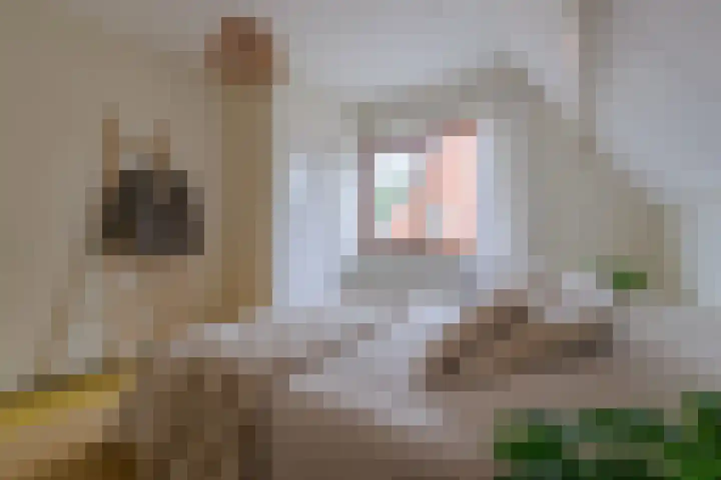 Berkenweg 73 Zuidlaren thumbnail 71