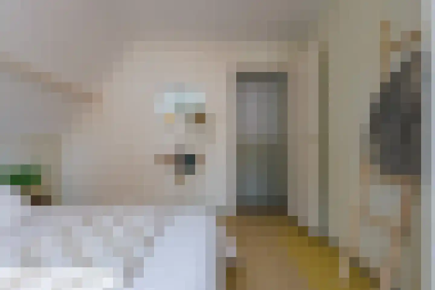 Berkenweg 73 Zuidlaren thumbnail 74