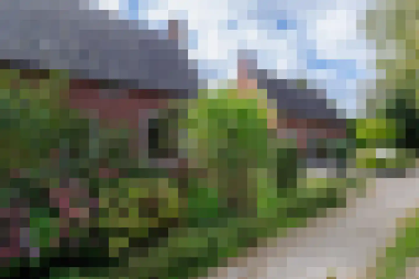 Berkenweg 73 Zuidlaren thumbnail 8