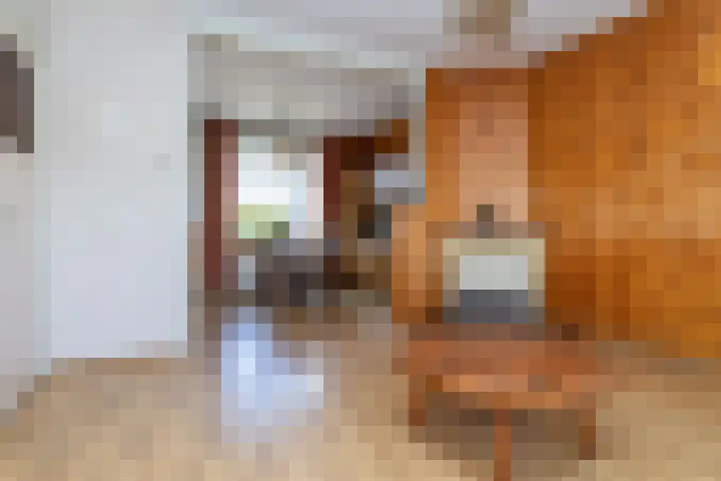 Berkenweg 85 Boskoop thumbnail 11